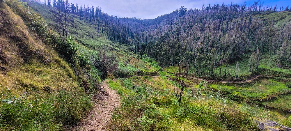 09.06.2024 Auf dem alten CR23 zur Capela do Cabo und über die Levada Nova zurück — Auf dem CR23 zur Capela in Cabo — Foto 17