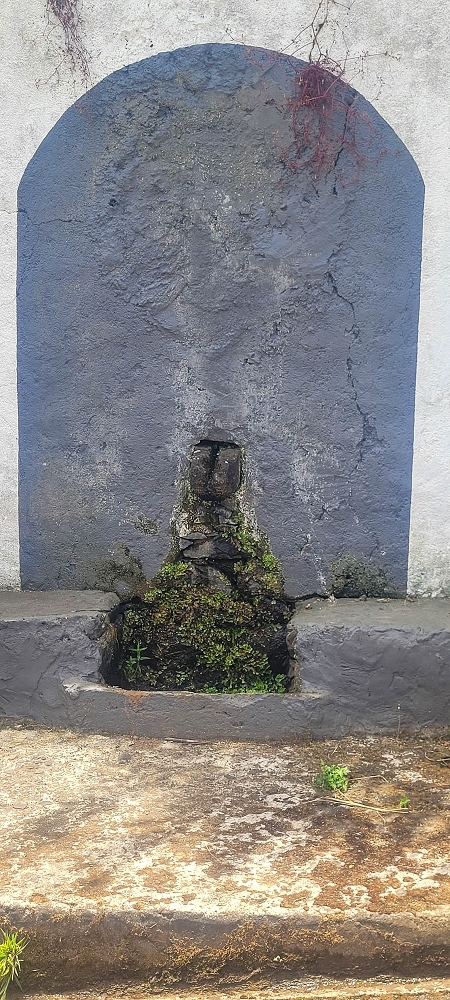 09.06.2024 Auf dem alten CR23 zur Capela do Cabo und über die Levada Nova zurück — Auf dem Lombo do Serrade zur Levada Nova — Foto 2