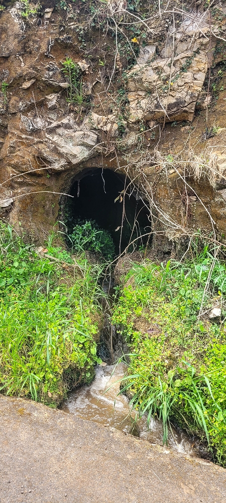 09.06.2024 Auf dem alten CR23 zur Capela do Cabo und über die Levada Nova zurück — Auf dem Lombo do Serrade zur Levada Nova — Foto 3