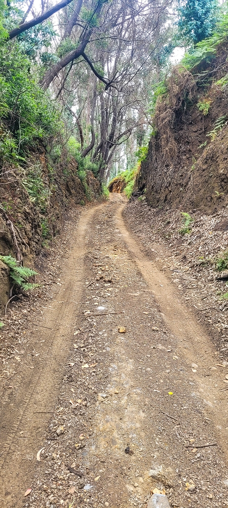 09.06.2024 Auf dem alten CR23 zur Capela do Cabo und über die Levada Nova zurück — Auf dem Lombo do Serrade zur Levada Nova — Foto 5