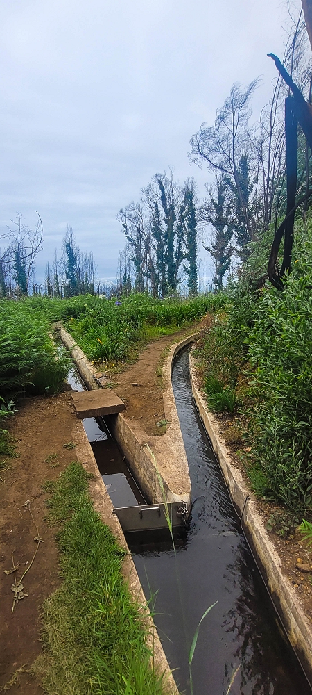 09.06.2024 Auf dem alten CR23 zur Capela do Cabo und über die Levada Nova zurück — Speicherbecken auf dem Lombo do Serrado — Foto 6