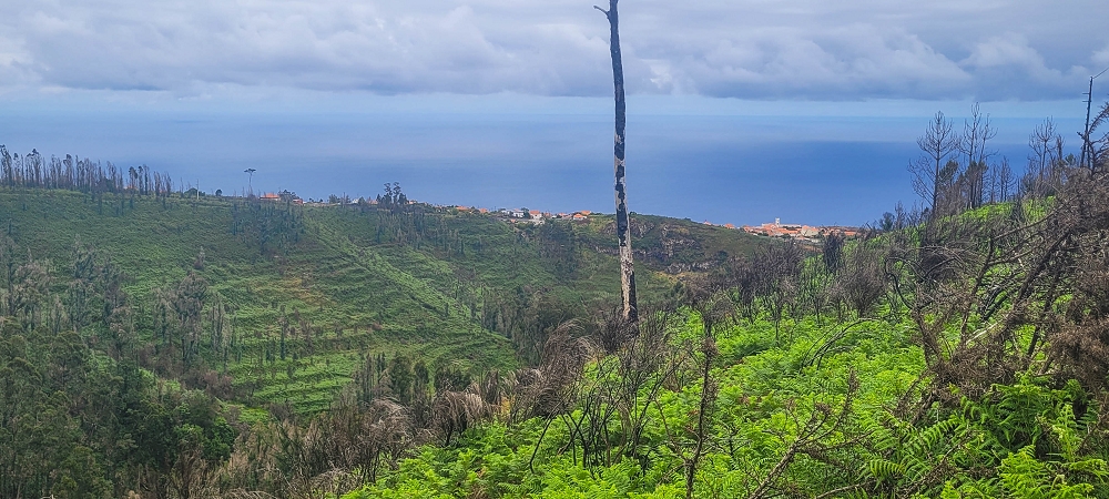 09.06.2024 Auf dem alten CR23 zur Capela do Cabo und über die Levada Nova zurück — Zum Lombo da Pedragal und zurück — Foto 1