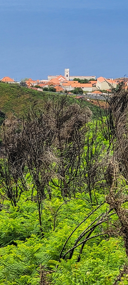 09.06.2024 Auf dem alten CR23 zur Capela do Cabo und über die Levada Nova zurück — Zum Lombo da Pedragal und zurück — Foto 2