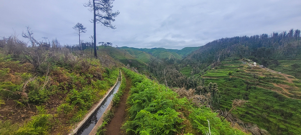 09.06.2024 Auf dem alten CR23 zur Capela do Cabo und über die Levada Nova zurück — Zum Lombo da Pedragal und zurück — Foto 5