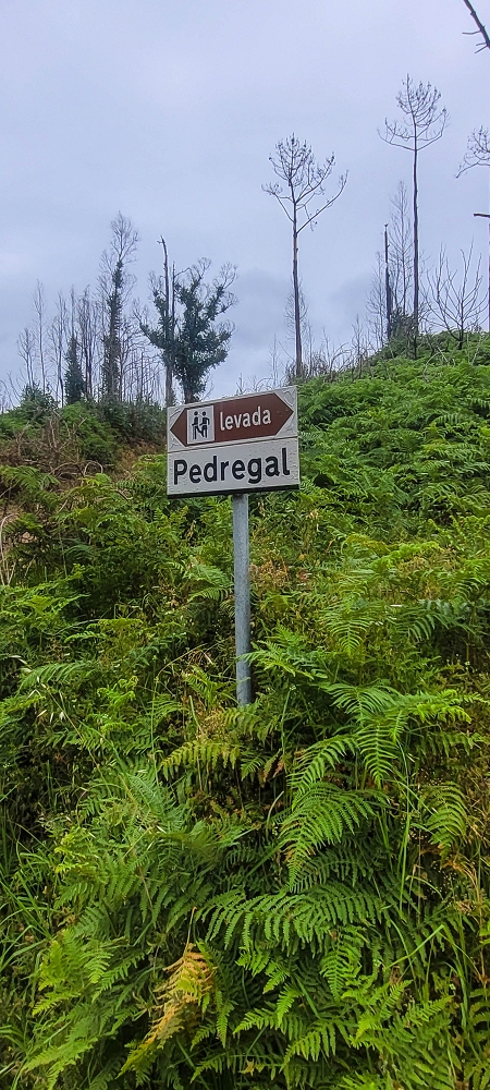 09.06.2024 Auf dem alten CR23 zur Capela do Cabo und über die Levada Nova zurück — Zum Lombo da Pedragal und zurück — Foto 8