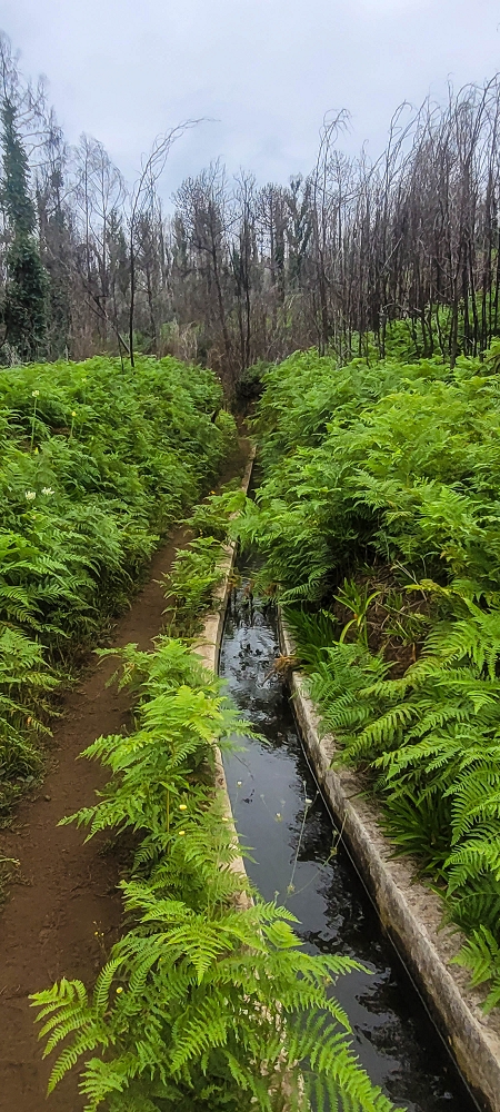 09.06.2024 Auf dem alten CR23 zur Capela do Cabo und über die Levada Nova zurück — Zum Lombo da Pedragal und zurück — Foto 9