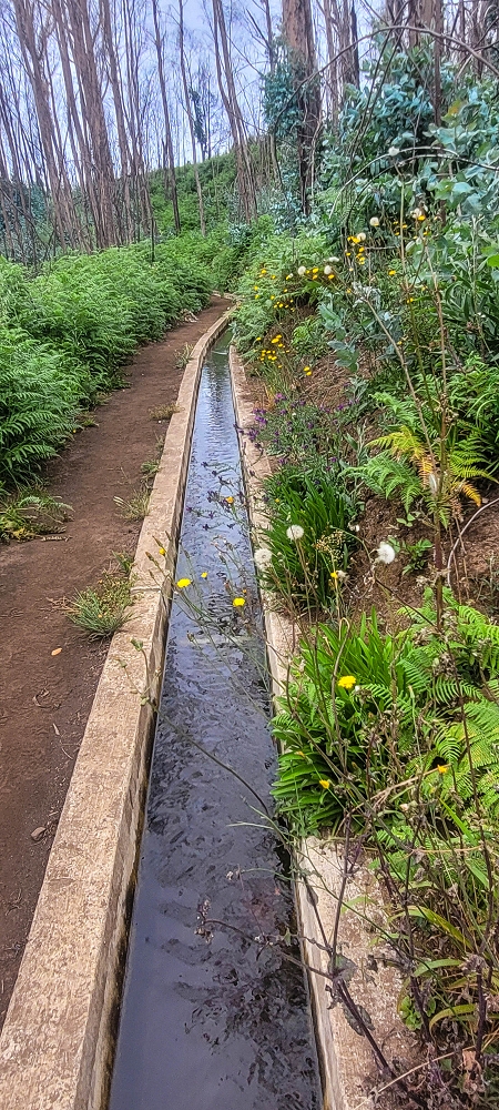 09.06.2024 Auf dem alten CR23 zur Capela do Cabo und über die Levada Nova zurück — Zum Lombo da Pedragal und zurück — Foto 10