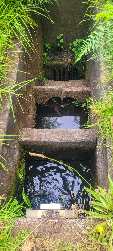 09.06.2024 Auf dem alten CR23 zur Capela do Cabo und über die Levada Nova zurück — Zum Lombo da Pedragal und zurück — Foto 11