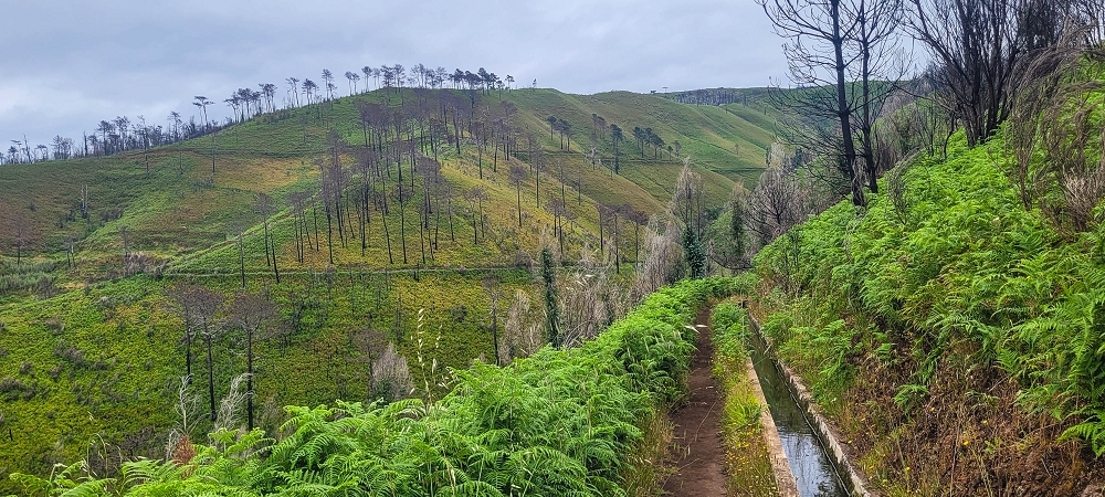 09.06.2024 Auf dem alten CR23 zur Capela do Cabo und über die Levada Nova zurück — Weiter zur Ribeira da Vaca — Foto 7