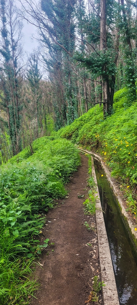 09.06.2024 Auf dem alten CR23 zur Capela do Cabo und über die Levada Nova zurück — Weiter zur Ribeira da Vaca — Foto 8