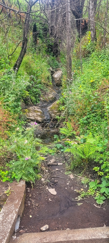 09.06.2024 Auf dem alten CR23 zur Capela do Cabo und über die Levada Nova zurück — Weiter zur Ribeira da Vaca — Foto 9