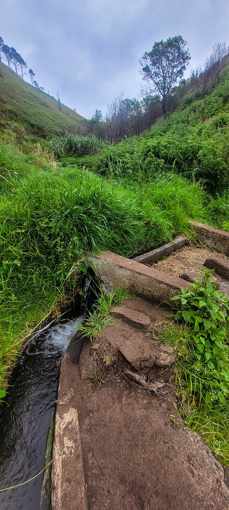 09.06.2024 Auf dem alten CR23 zur Capela do Cabo und über die Levada Nova zurück — Weiter zur Ribeira da Vaca — Foto 12