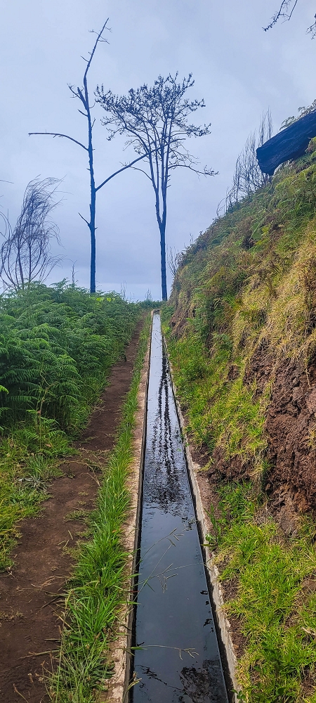 09.06.2024 Auf dem alten CR23 zur Capela do Cabo und über die Levada Nova zurück — Weiter zur Ribeira da Vaca — Foto 18