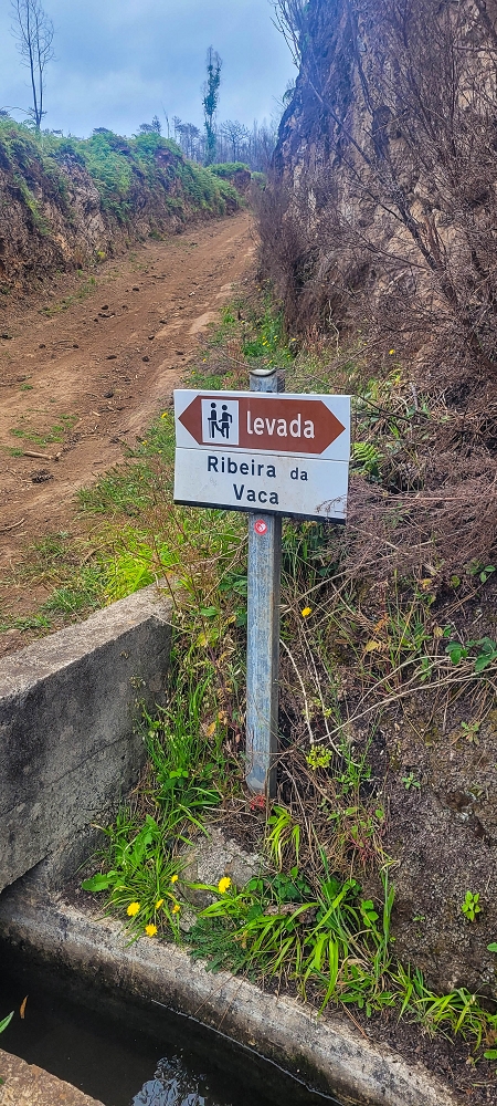 09.06.2024 Auf dem alten CR23 zur Capela do Cabo und über die Levada Nova zurück — Weiter zur Ribeira da Vaca — Foto 19