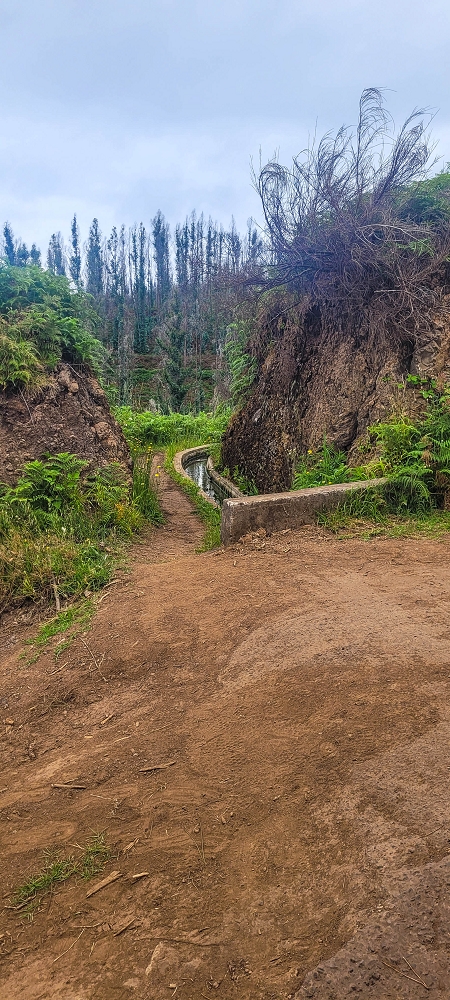 09.06.2024 Auf dem alten CR23 zur Capela do Cabo und über die Levada Nova zurück — Zur Lombada Velha — Foto 1