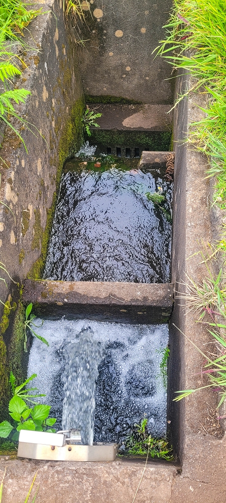 09.06.2024 Auf dem alten CR23 zur Capela do Cabo und über die Levada Nova zurück — Der Schlussabschnitt bis Cabo — Foto 1