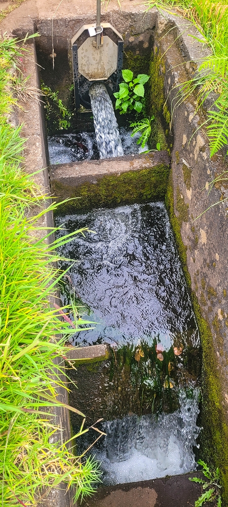 09.06.2024 Auf dem alten CR23 zur Capela do Cabo und über die Levada Nova zurück — Der Schlussabschnitt bis Cabo — Foto 2