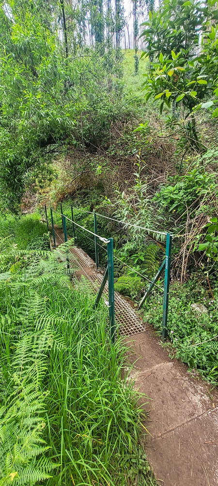 09.06.2024 Auf dem alten CR23 zur Capela do Cabo und über die Levada Nova zurück — Der Schlussabschnitt bis Cabo — Foto 5