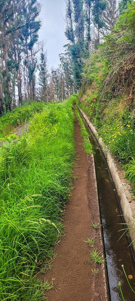 09.06.2024 Auf dem alten CR23 zur Capela do Cabo und über die Levada Nova zurück — Der Schlussabschnitt bis Cabo — Foto 6