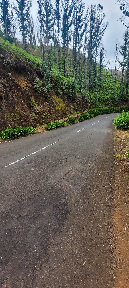09.06.2024 Auf dem alten CR23 zur Capela do Cabo und über die Levada Nova zurück — Der Schlussabschnitt bis Cabo — Foto 8