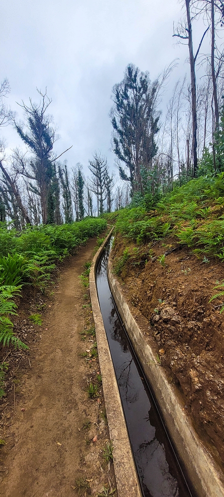 09.06.2024 Auf dem alten CR23 zur Capela do Cabo und über die Levada Nova zurück — Der Schlussabschnitt bis Cabo — Foto 10