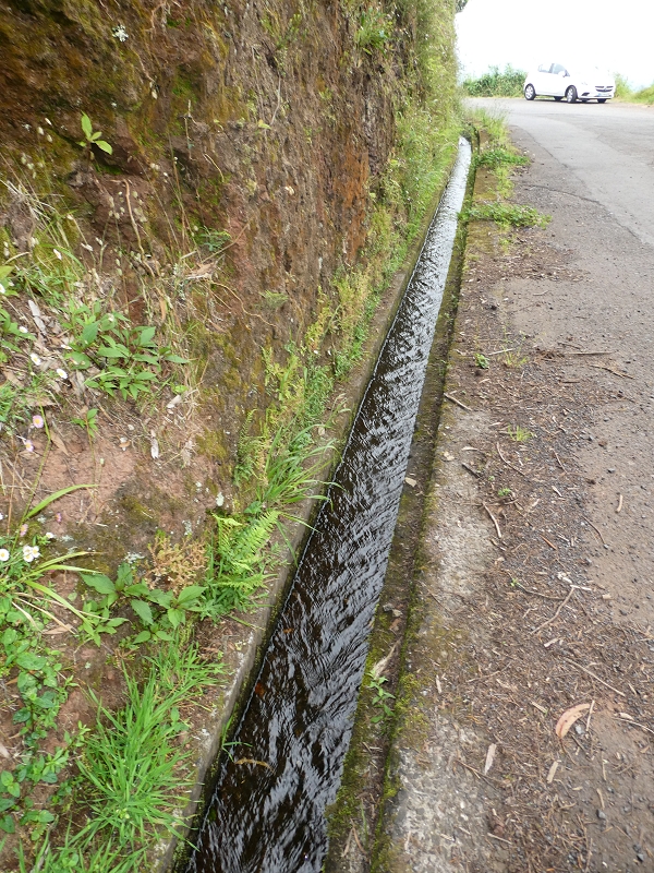 09.07.2018 Rundtour vom Portelapass über die Levada do Castelejo, Pico da Suna und die Levada da Portela — Portelapass und Abstieg auf dem CR 23 nach Cruz da Guarda — Foto 1