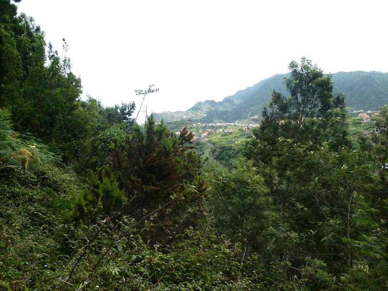 09.07.2018 Rundtour vom Portelapass über die Levada do Castelejo, Pico da Suna und die Levada da Portela — Weiter zur Vereda da Terra Baptista — Foto 17