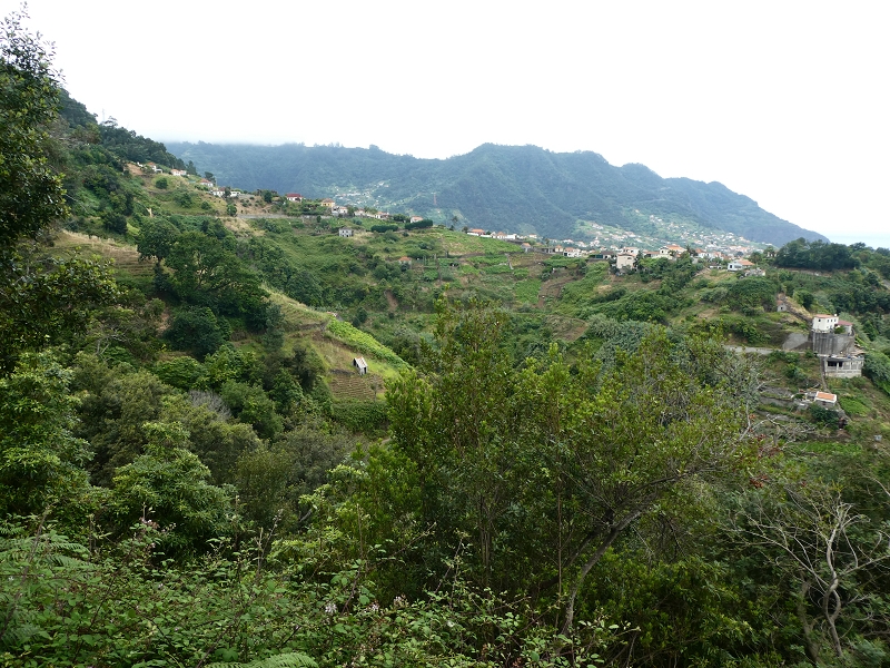 09.07.2018 Rundtour vom Portelapass über die Levada do Castelejo, Pico da Suna und die Levada da Portela — Weiter zur Vereda da Terra Baptista — Foto 27