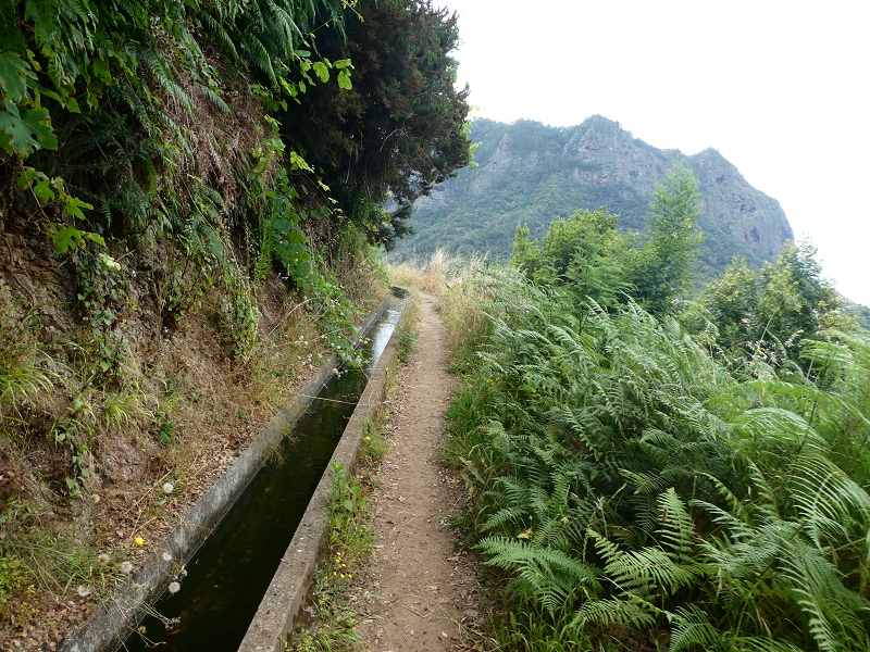 09.07.2018 Rundtour vom Portelapass über die Levada do Castelejo, Pico da Suna und die Levada da Portela — Weiter zur Vereda da Terra Baptista — Foto 29