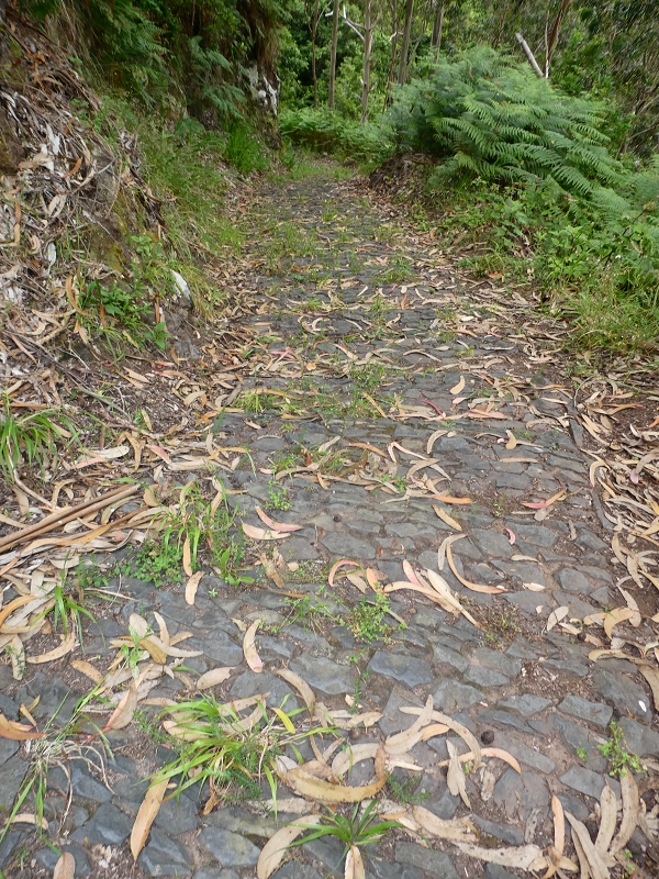Levada do Castelejo — Brücke über die Ribeira Caldeira — Foto 1