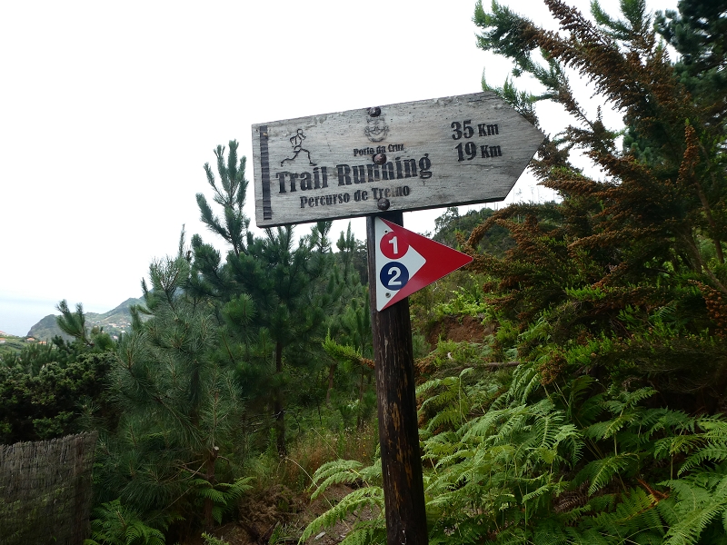 09.07.2018 Rundtour vom Portelapass über die Levada do Castelejo, Pico da Suna und die Levada da Portela — Aufstieg auf der Vereda da Terra Baptista — Foto 2