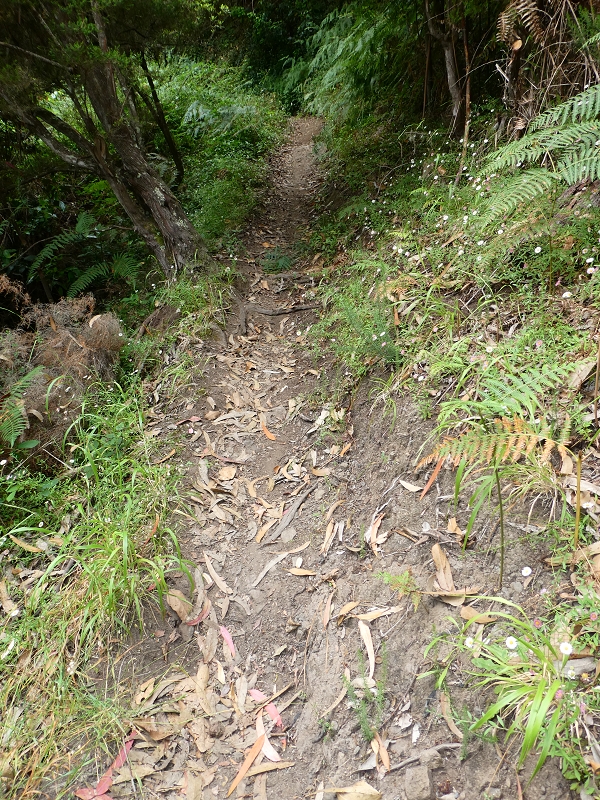 09.07.2018 Rundtour vom Portelapass über die Levada do Castelejo, Pico da Suna und die Levada da Portela — Aufstieg auf der Vereda da Terra Baptista — Foto 9