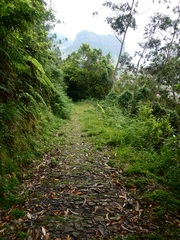 Levada do Castelejo — Brücke über die Ribeira Caldeira — Foto 2