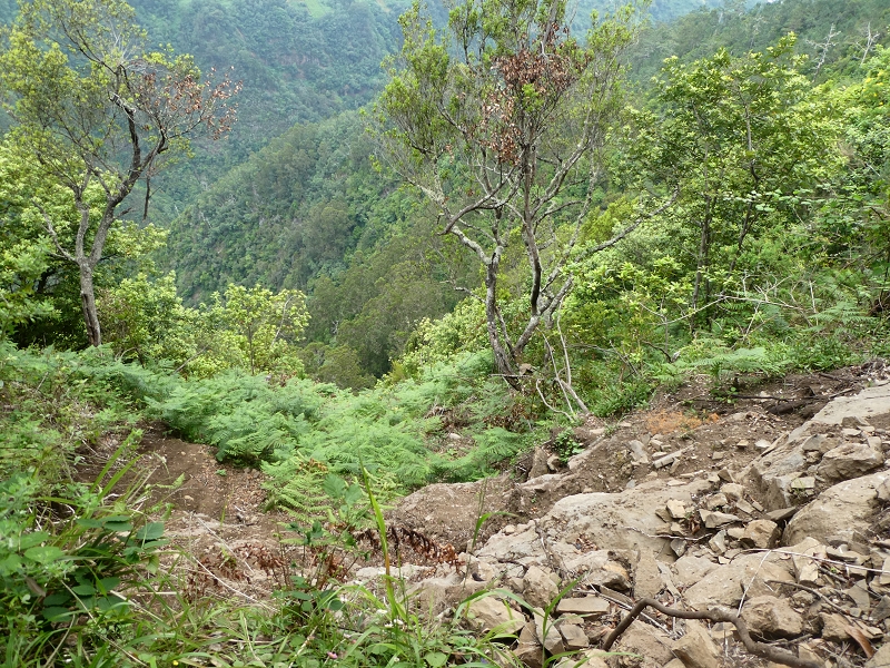 09.07.2018 Rundtour vom Portelapass über die Levada do Castelejo, Pico da Suna und die Levada da Portela — Aufstieg auf der Vereda da Terra Baptista — Foto 17