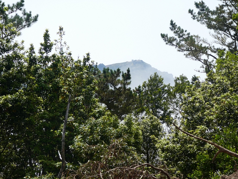 09.07.2018 Rundtour vom Portelapass über die Levada do Castelejo, Pico da Suna und die Levada da Portela — Feuerwachtturm auf dem Pico da Suna — Foto 5