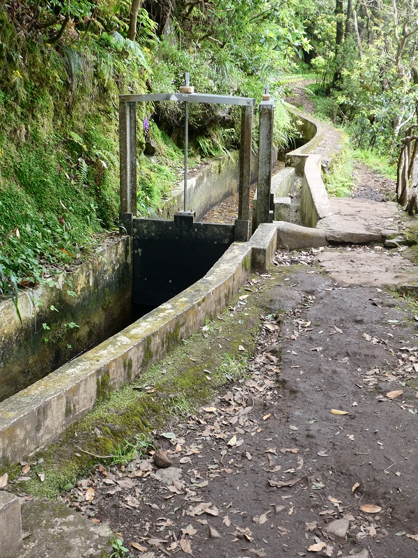 09.07.2018 Rundtour vom Portelapass über die Levada do Castelejo, Pico da Suna und die Levada da Portela — Abstieg zum Wasserhaus am Ende der Levada do Furado — Foto 5