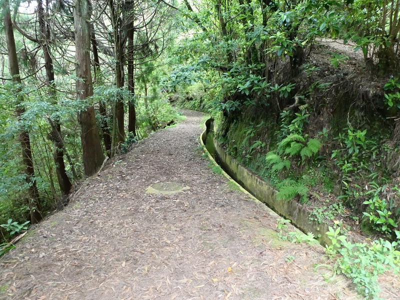 09.07.2018 Rundtour vom Portelapass über die Levada do Castelejo, Pico da Suna und die Levada da Portela — Abstieg zum Wasserhaus am Ende der Levada do Furado — Foto 9