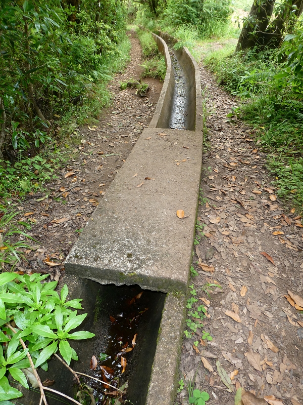 09.07.2018 Rundtour vom Portelapass über die Levada do Castelejo, Pico da Suna und die Levada da Portela — Trockene Levada da Portela und Speichersee — Foto 3