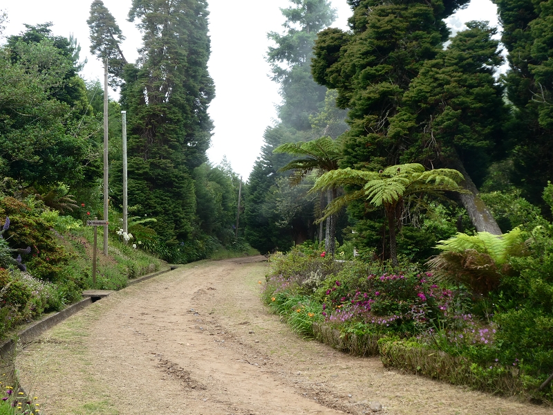 09.07.2018 Rundtour vom Portelapass über die Levada do Castelejo, Pico da Suna und die Levada da Portela — Trockene Levada da Portela und Speichersee — Foto 10