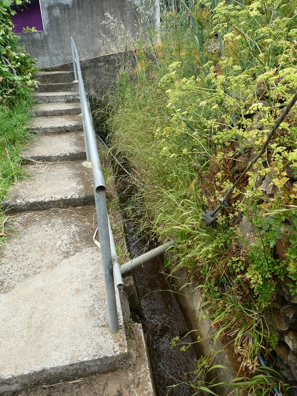 Levada do Castelejo — Bis zum Ende — Foto 10