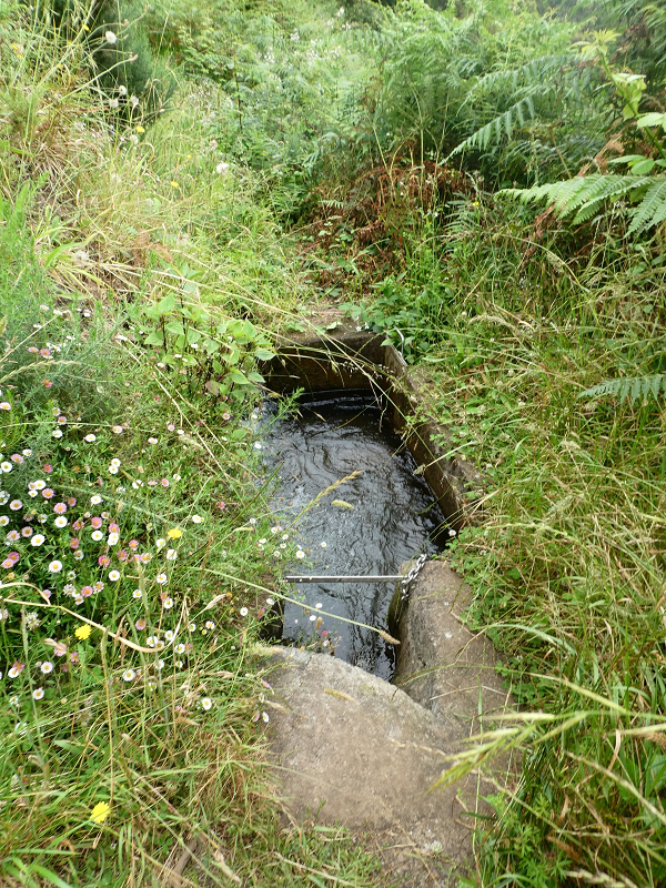 09.07.2018 Rundtour vom Portelapass über die Levada do Castelejo, Pico da Suna und die Levada da Portela — Levada da Portela mit Wasserführung — Foto 6