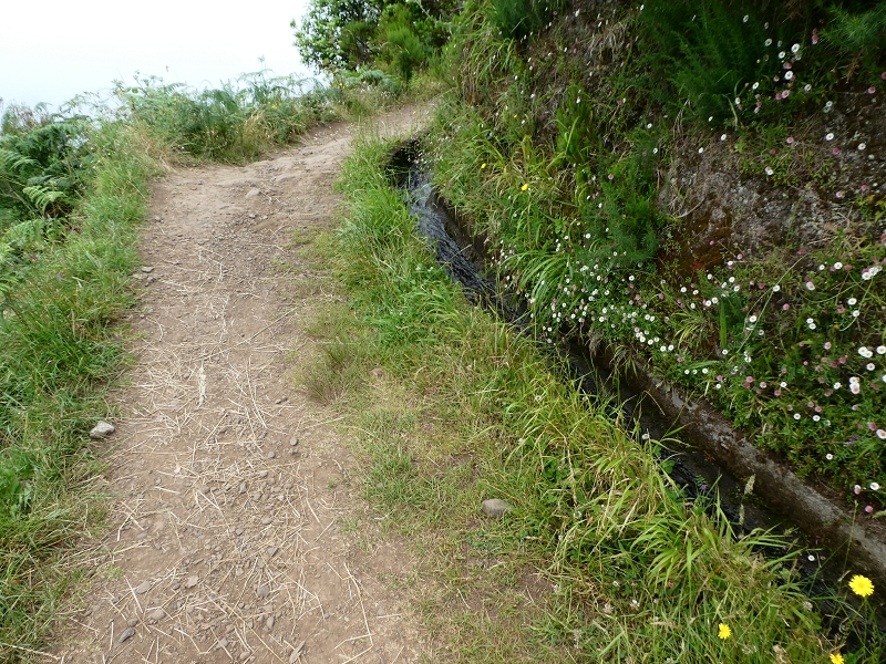09.07.2018 Rundtour vom Portelapass über die Levada do Castelejo, Pico da Suna und die Levada da Portela — Levada da Portela mit Wasserführung — Foto 7