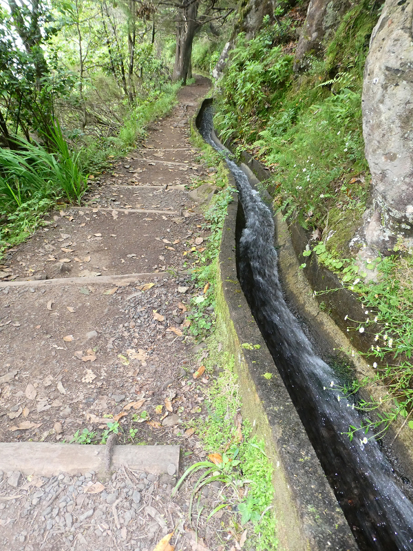 09.07.2018 Rundtour vom Portelapass über die Levada do Castelejo, Pico da Suna und die Levada da Portela — Levada da Portela mit Wasserführung — Foto 8