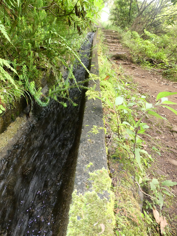 09.07.2018 Rundtour vom Portelapass über die Levada do Castelejo, Pico da Suna und die Levada da Portela — Levada da Portela mit Wasserführung — Foto 9