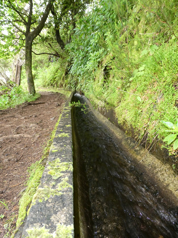 09.07.2018 Rundtour vom Portelapass über die Levada do Castelejo, Pico da Suna und die Levada da Portela — Levada da Portela mit Wasserführung — Foto 10