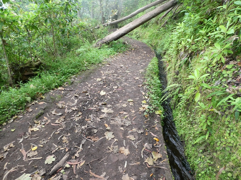 09.07.2018 Rundtour vom Portelapass über die Levada do Castelejo, Pico da Suna und die Levada da Portela — Levada da Portela mit Wasserführung — Foto 11
