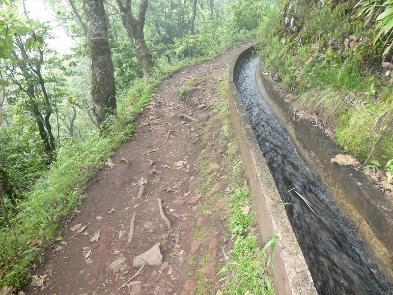 09.07.2018 Rundtour vom Portelapass über die Levada do Castelejo, Pico da Suna und die Levada da Portela — Levada da Portela mit Wasserführung — Foto 14