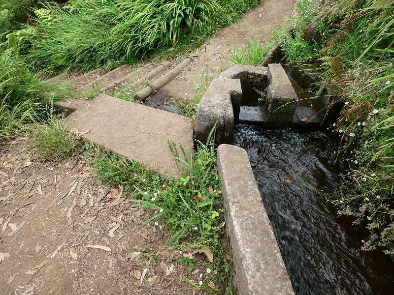 09.07.2018 Rundtour vom Portelapass über die Levada do Castelejo, Pico da Suna und die Levada da Portela — Levada da Portela mit Wasserführung — Foto 16