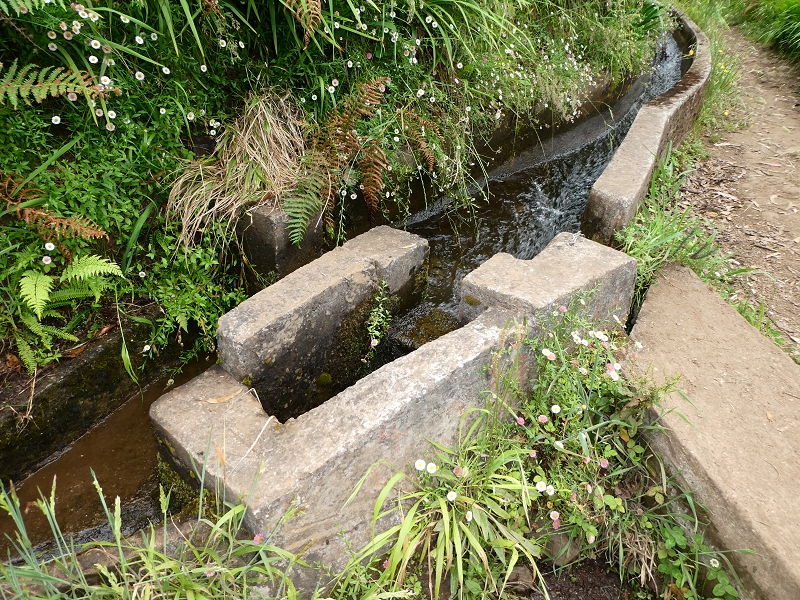 09.07.2018 Rundtour vom Portelapass über die Levada do Castelejo, Pico da Suna und die Levada da Portela — Levada da Portela mit Wasserführung — Foto 18