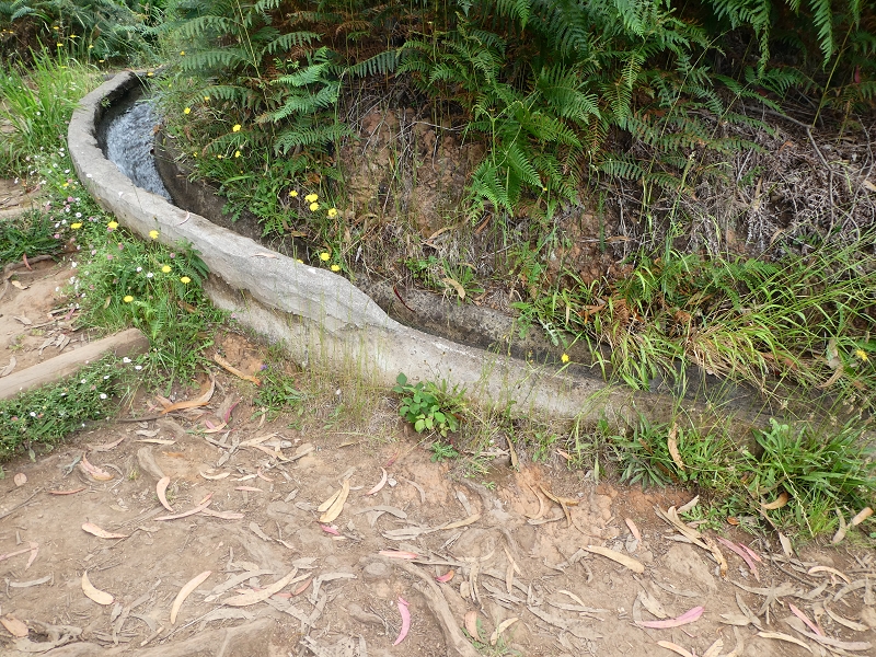09.07.2018 Rundtour vom Portelapass über die Levada do Castelejo, Pico da Suna und die Levada da Portela — Levada da Portela mit Wasserführung — Foto 21